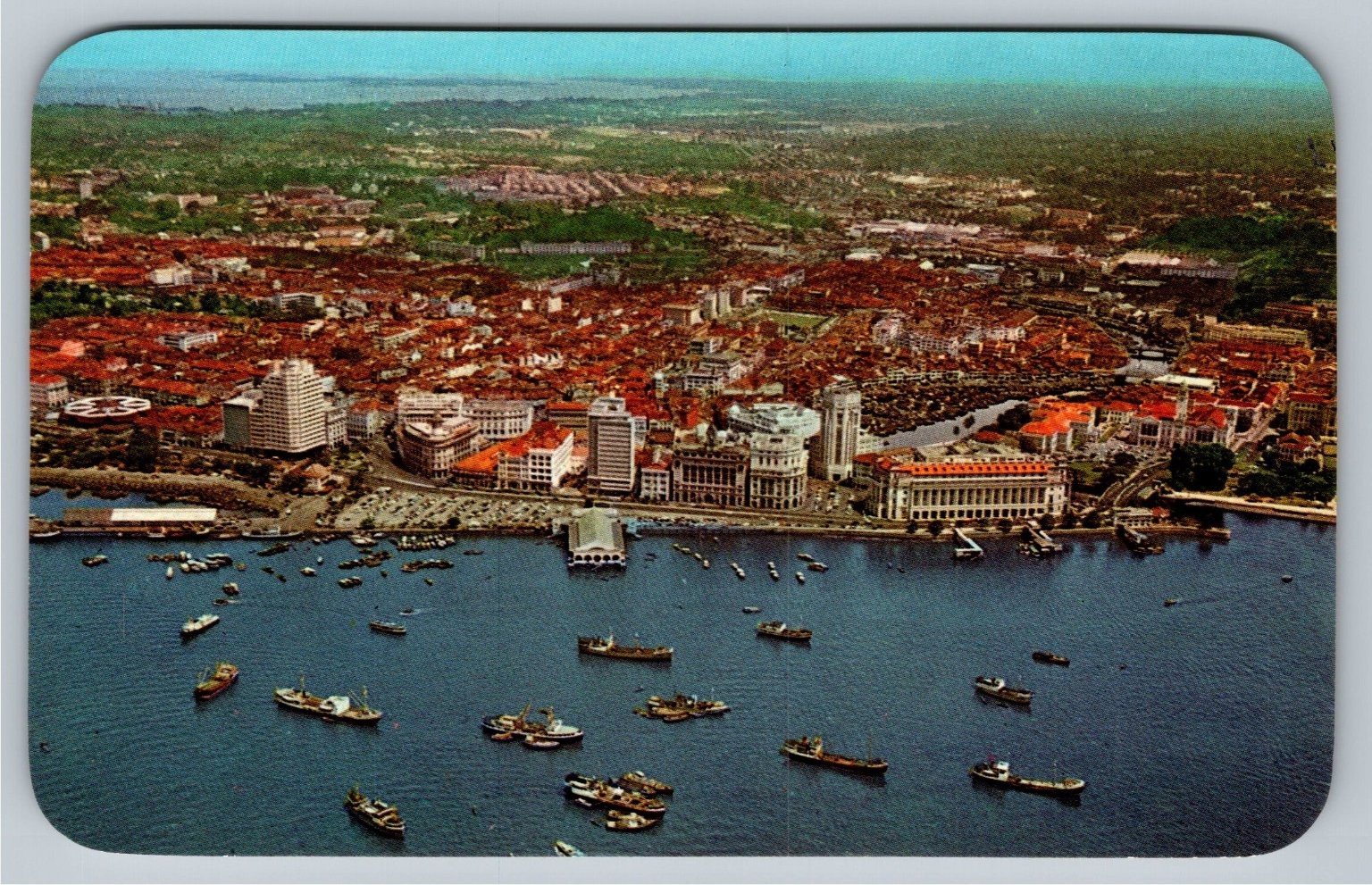 Vintage Singapore City Aerial View Postcard Waterfront & Chinese Boats