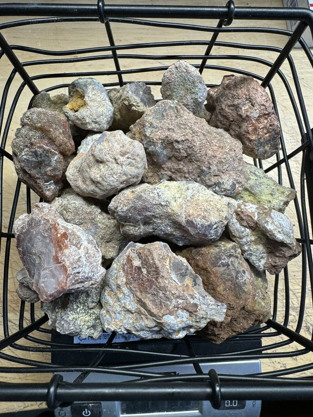 5 Lbs Uncut Laguna Agate Nodules Hand Selected For Specimens Or Cabbing