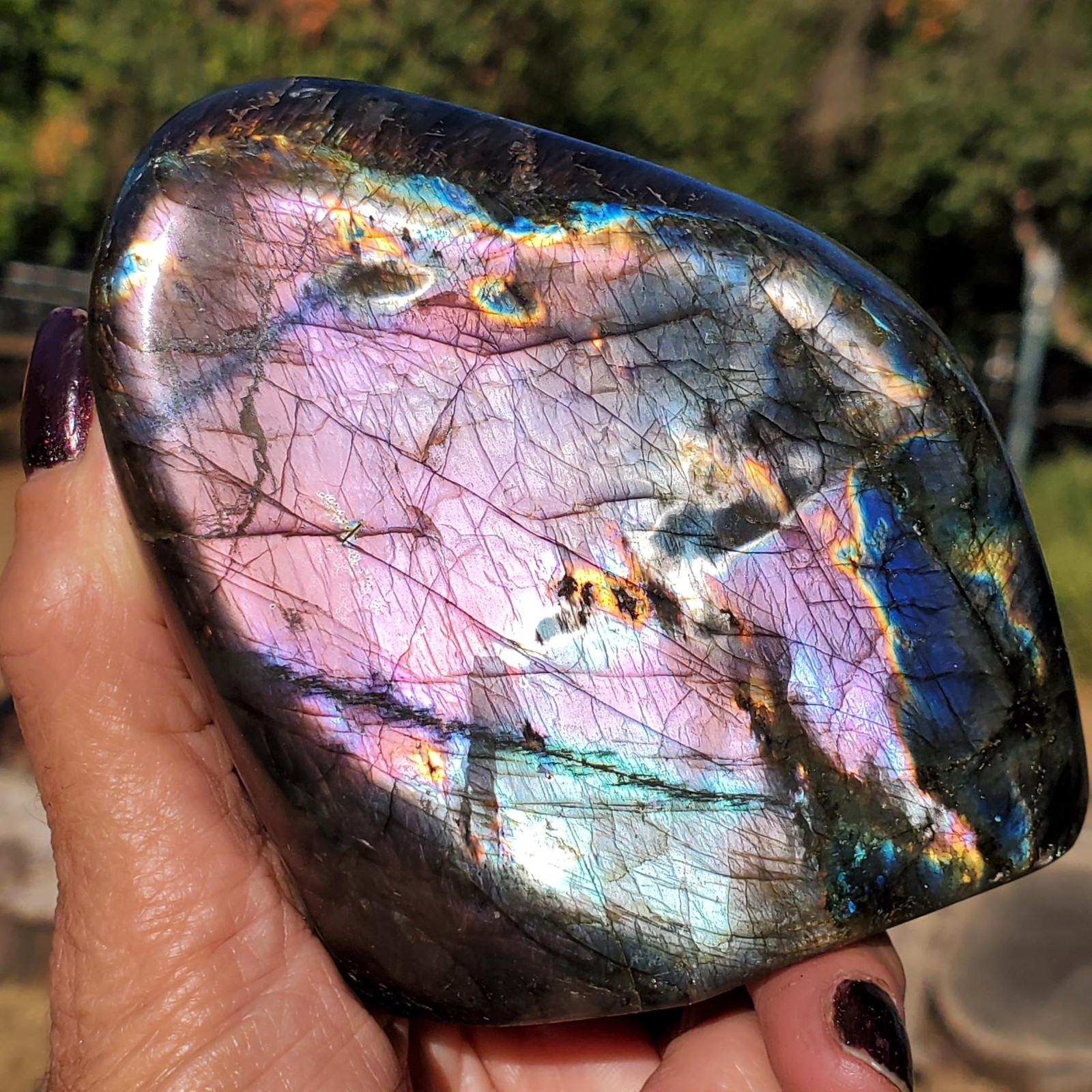Labradorite Purple Blue Spectrolite Flashy Sunset Freeform 550 grams