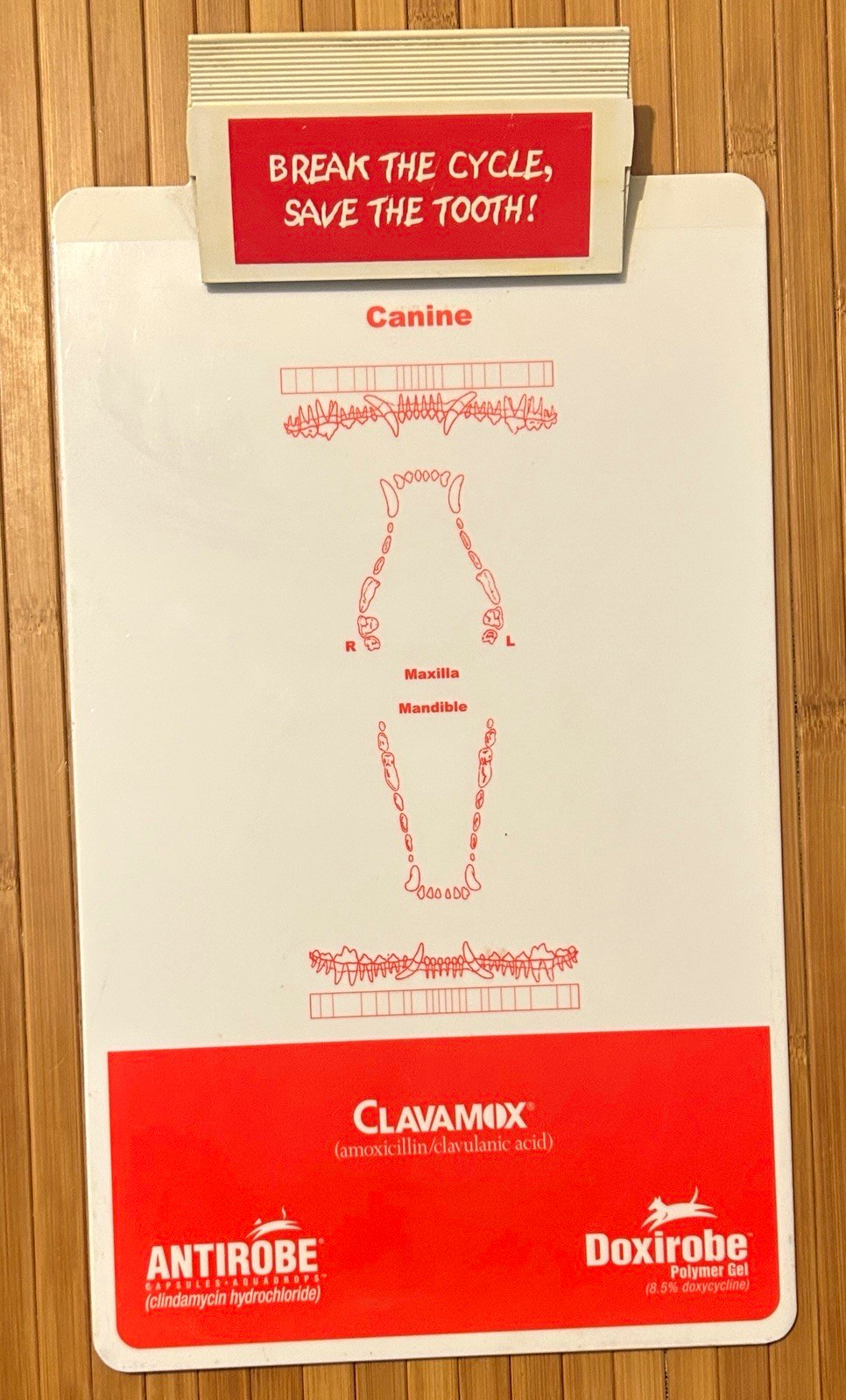 Zoetis Veterinary Canine Dental Chart Clipboard – Clavamox, Antirobe, Doxirobe 