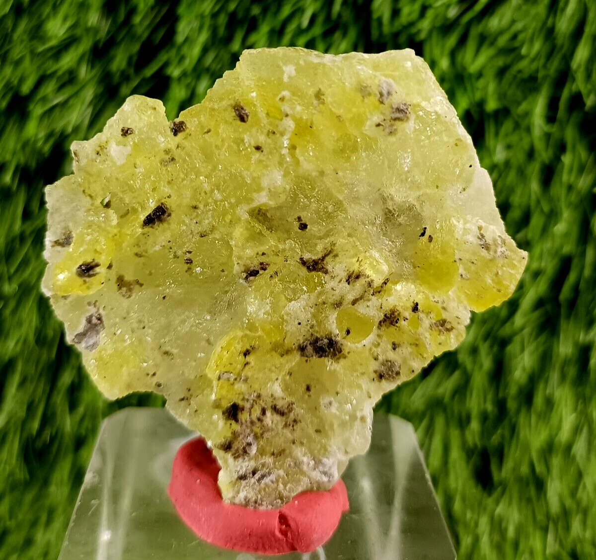 194 ct Natural Yellow Brucite Crystal Specimen From Baluchistan, Pakistan.