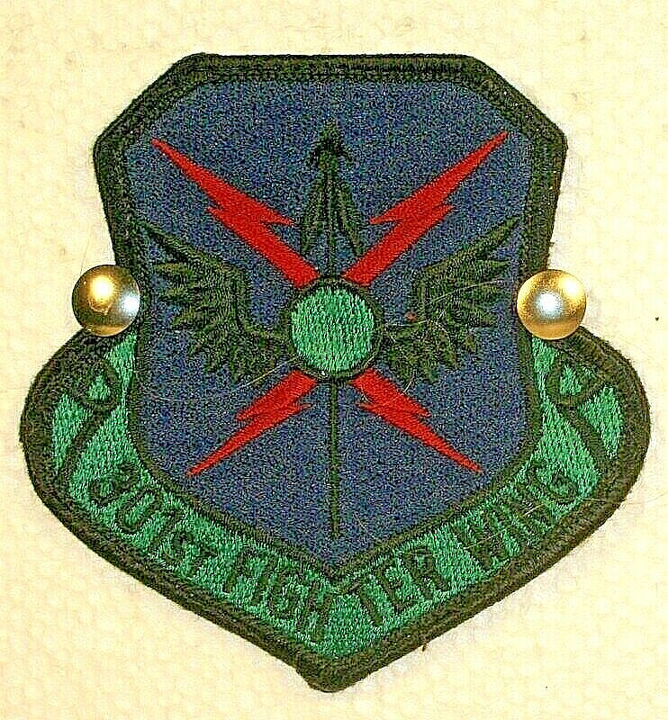 USAF Air Force 301st Fighter Wing Subdued Crest Insignia Badge Patch 