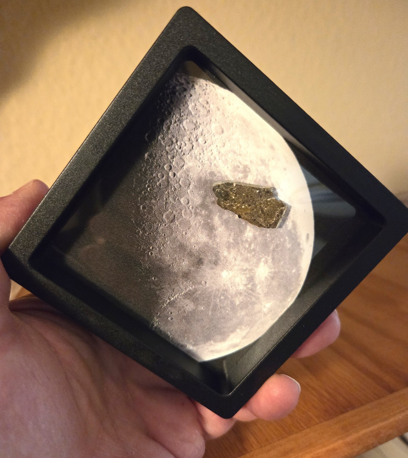 Museum Moon Rock Display. XXL Lunar Meteorite. Ltd Edition w/Authenticity Card