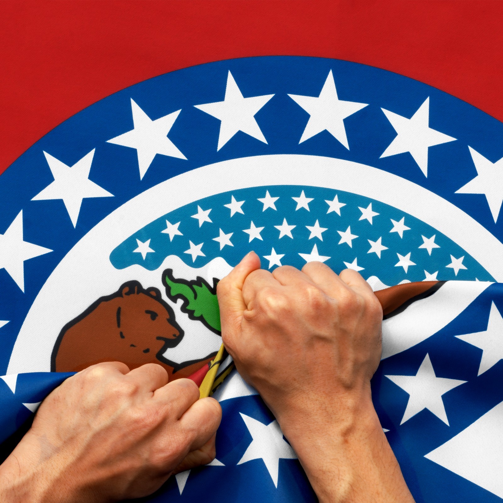 Anley Rip-Proof Double Sided 3-Ply Missouri Flag 3x5 Ft Missouri MO Flags Anley Rip-Proof Double Sided 3-Ply Missouri Flag 3x5 Ft Missouri MO Flags