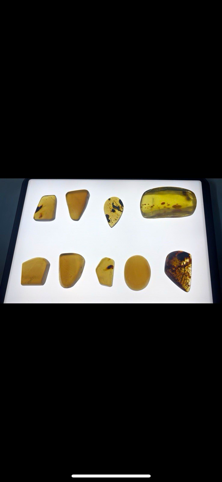 Lot of 9 Polished Fluorescent Amber, Glow Under UV Lot of 9 Polished Fluorescent Amber, Glow Under UV