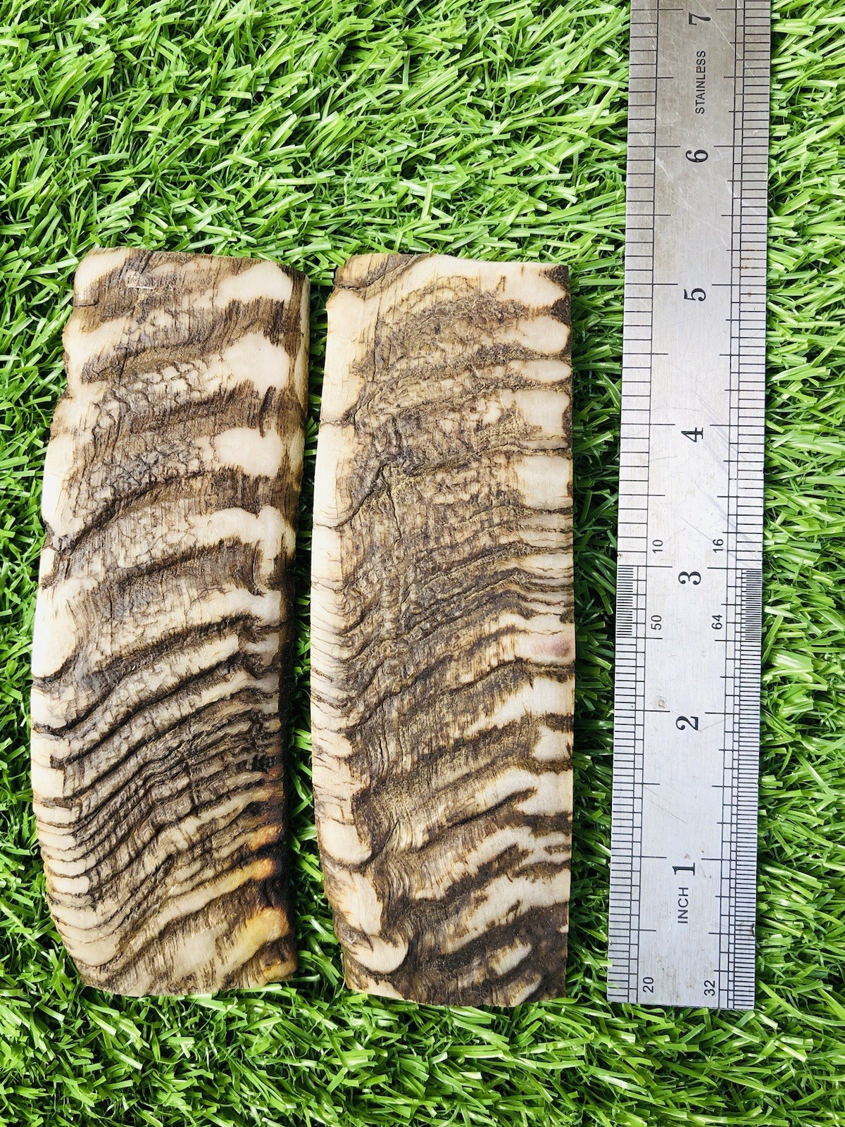 BEAUTIFUL RAMS HORN KNIFE HANDLE MATERIAL BLANK SCALES