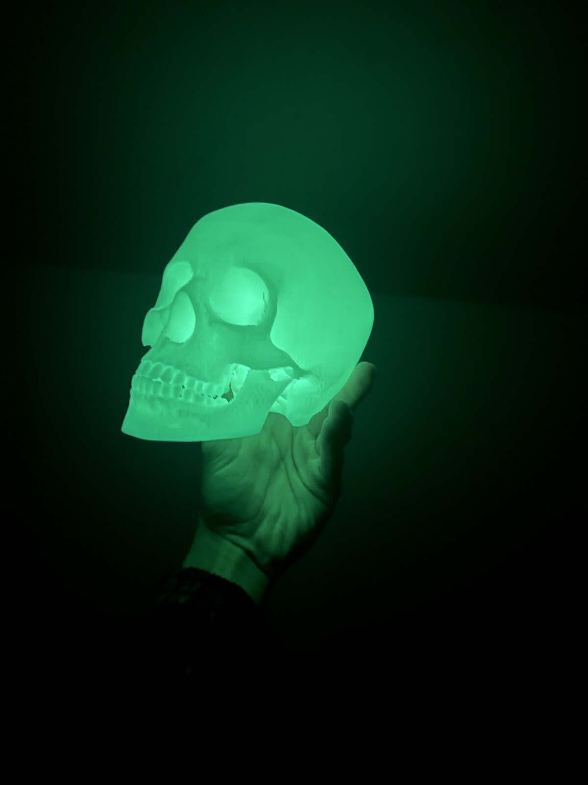 Large Glow In the Dark Human Skull (Good Quality:3DP-PLA)(Green,Blue,White)