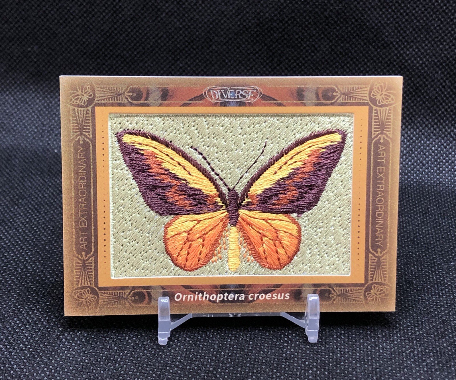2024 Kakawow Diverse Season 1 ORNITHOPTERA CROESUS ART CARD SSP No. DK-CY-29 🦋