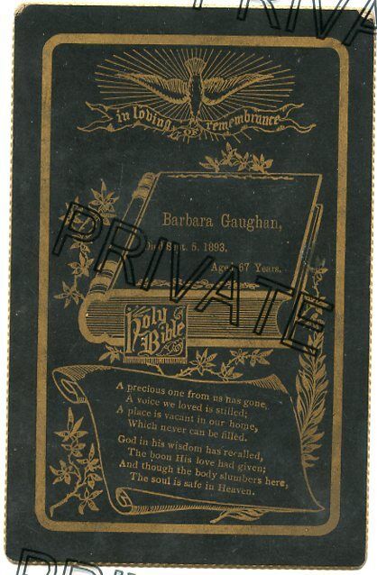 Cabinet Card - GAUGHAN Family - Memorial - Remembrance (Barbara) D) 1893