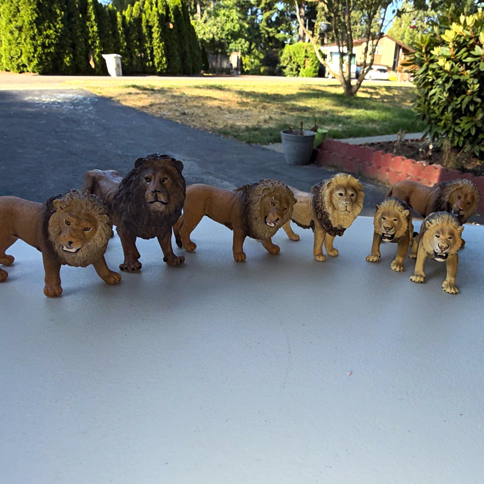 Schleich Lot of 7 Plastic Lion Figurines - Lion Animal Model Figurine Set 2018