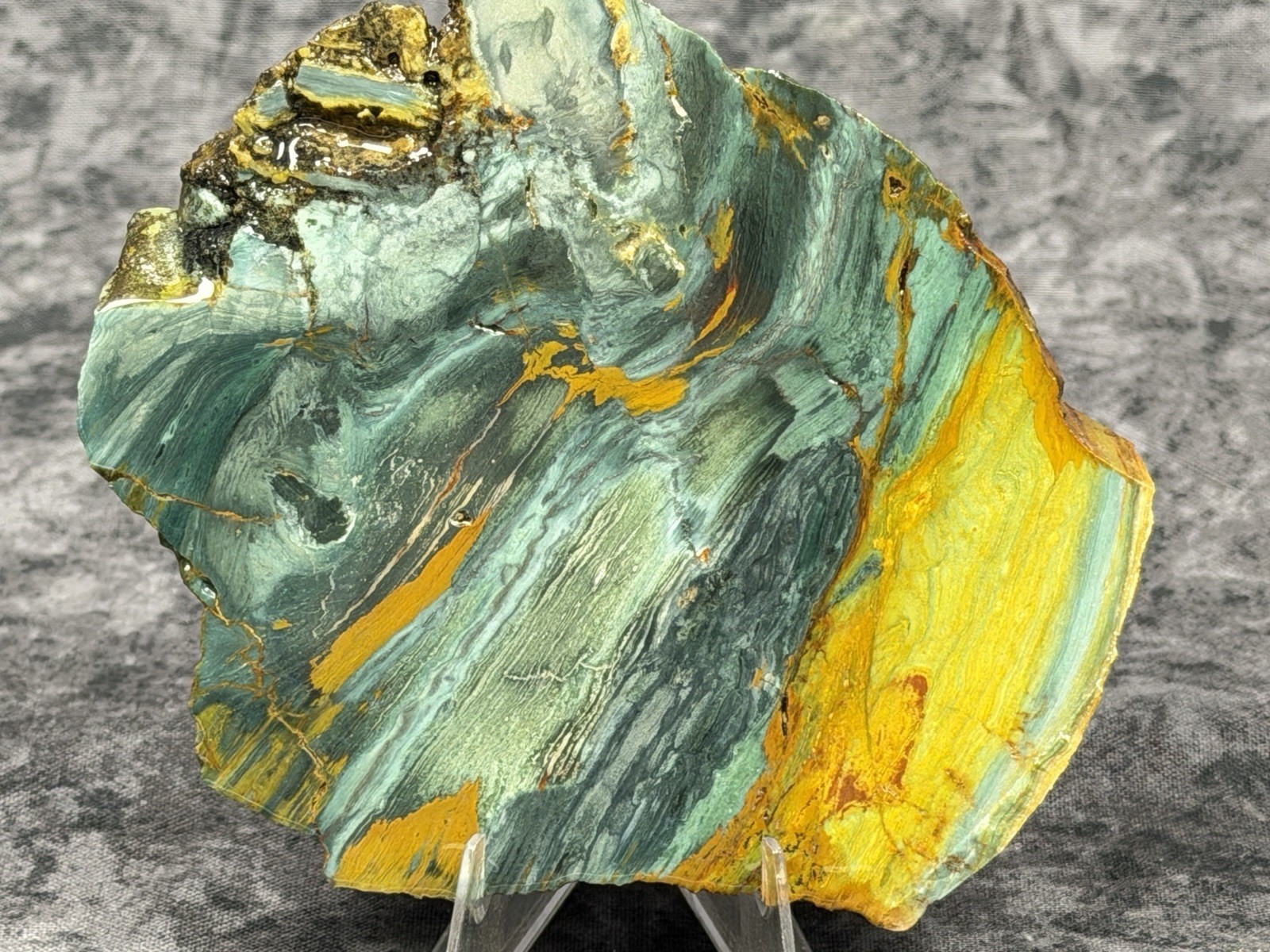 Beautiful Larsonite(Gary Green, Freedom) Jasper Bogwood Slab, Lot#931
