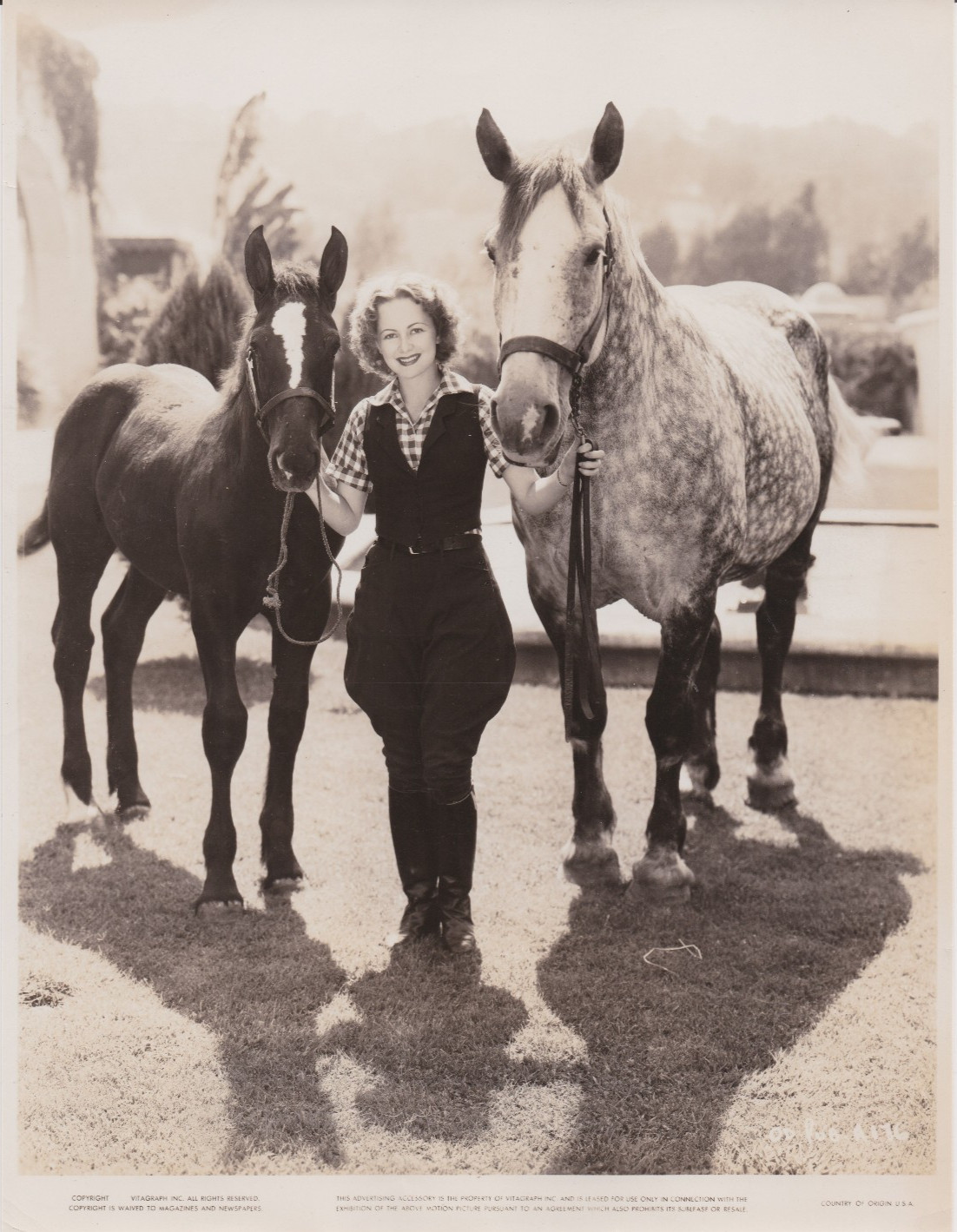 1936 Press Photo Actress Olivia de Havilland with Pet Horse in 