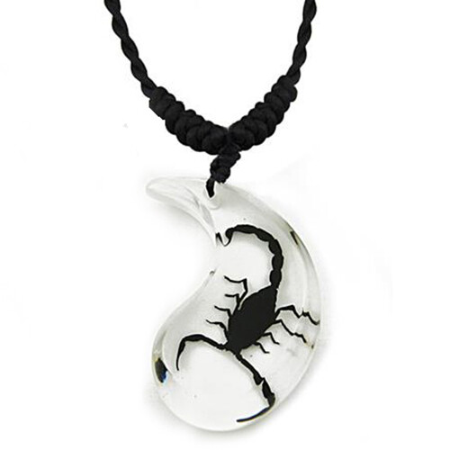 REAL WHITE BLACK SCORPION NECKLACE ACRYLIC PRESERVED SPECIMEN ADJUSTABLE CHAIN