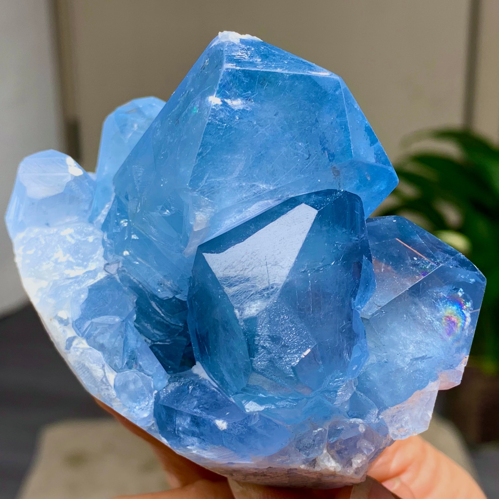 438G Natural Blue Celestite Geode Quartz Crystal Mineral Specimen Healing