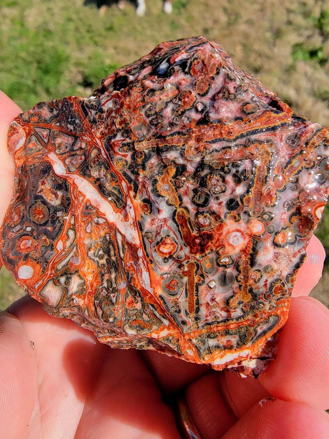 Random Pull Mexican Leopard Skin Rhyolite Rough