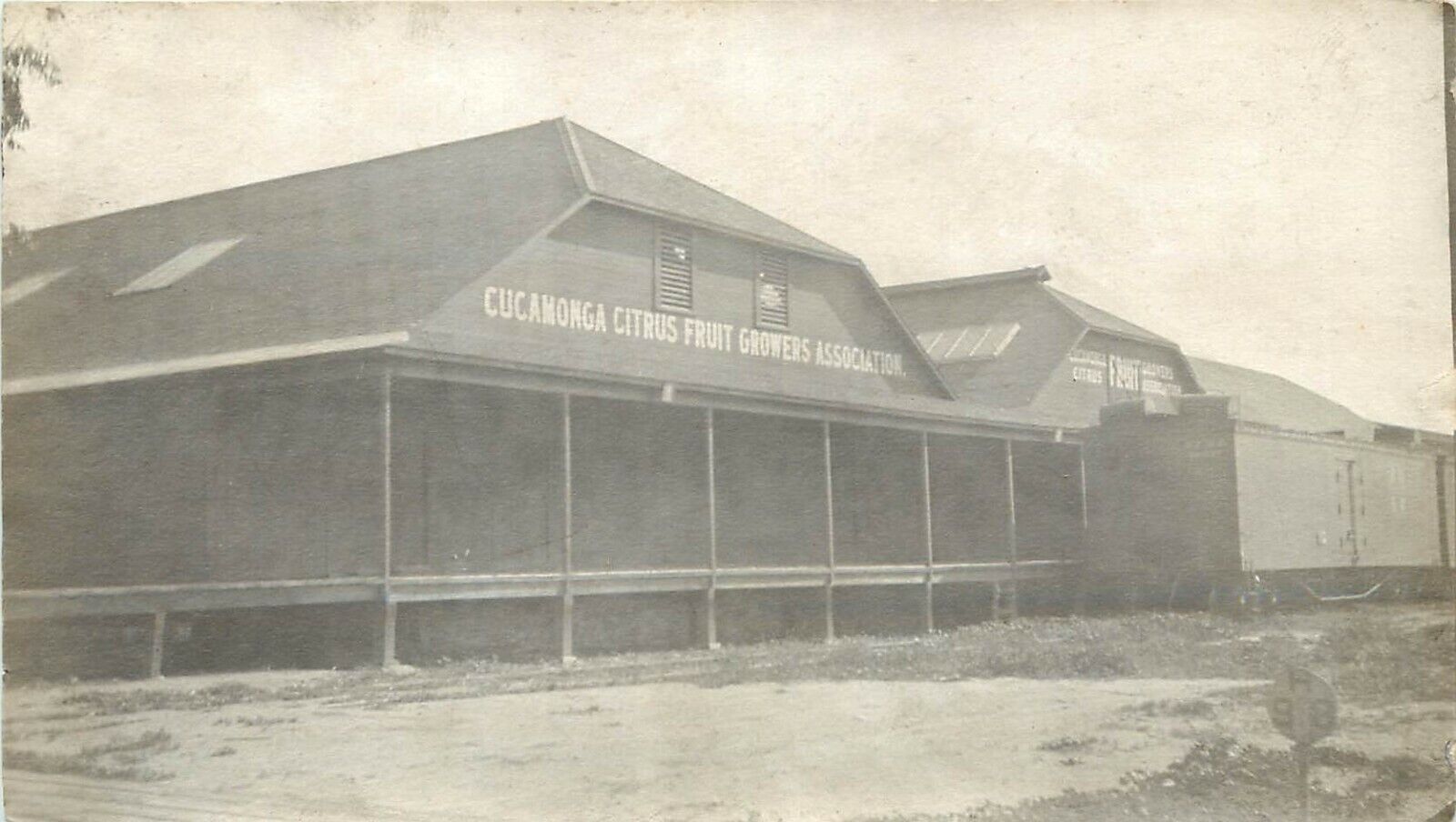 c1910 B/W Small Photo Snapshot Cucamonga CA Citrus Growers Packing Plant