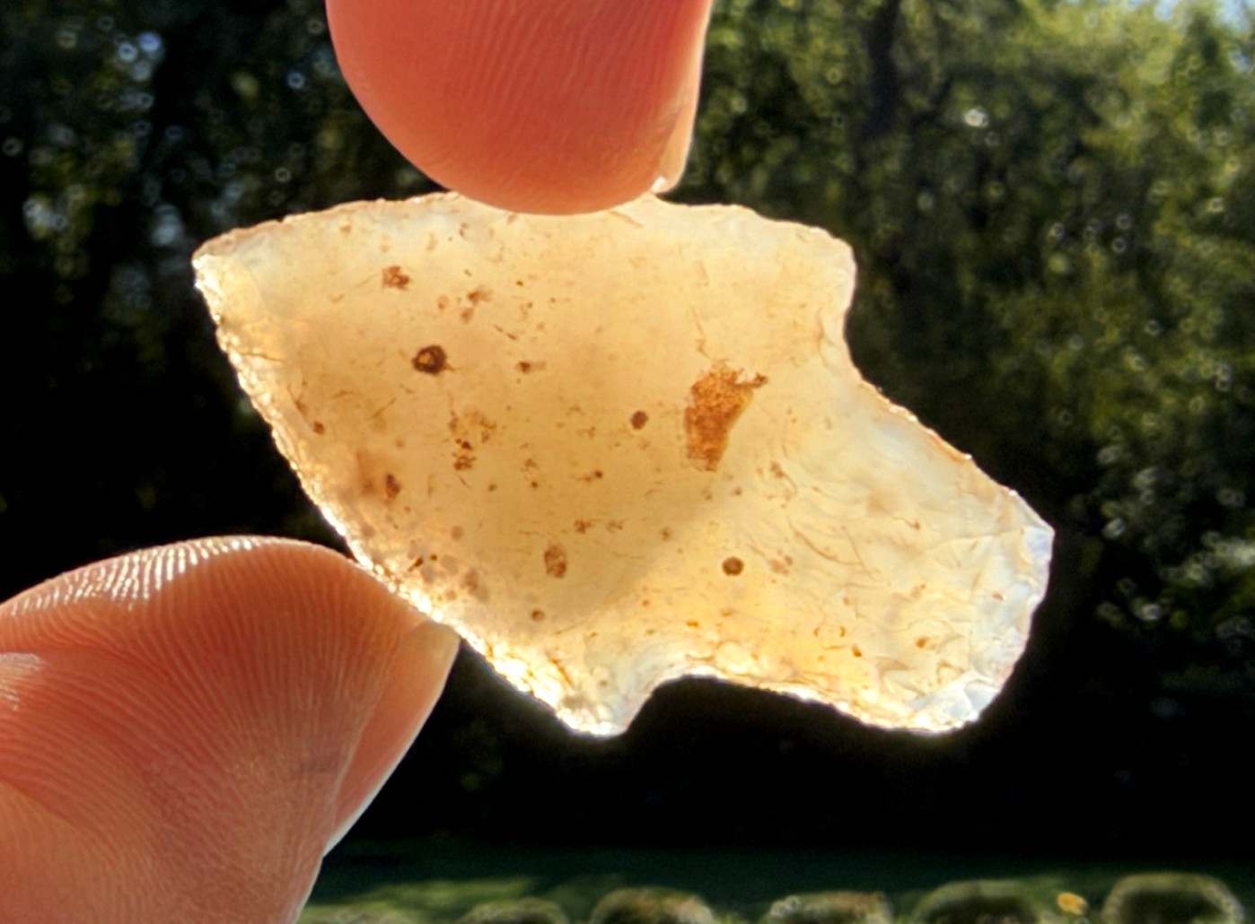 GORGEOUS ARIZONA YAVAPAI POINT ARROWHEAD AUTHENTIC INDIAN ARTIFACT B2M