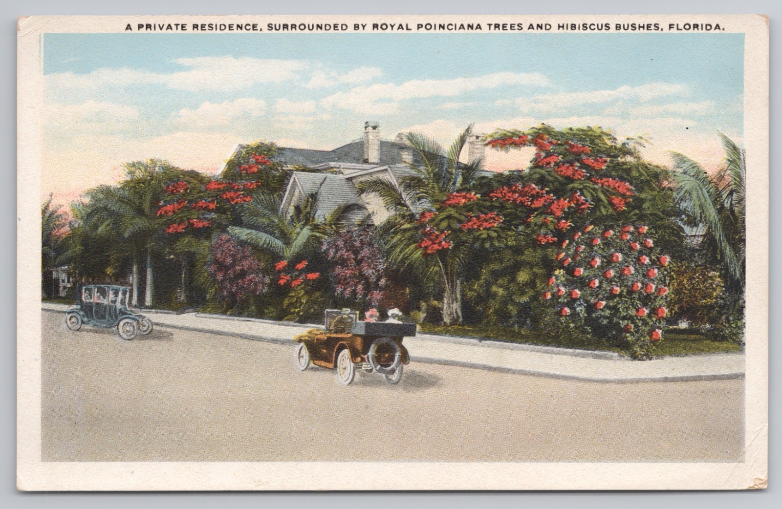 Private Residence with Royal Poinciana and Hibiscus in Florida c1920s Postcard