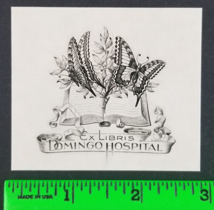 Vintage Butterflies Reading Book Ex Libris Paper Bookplate Label Card