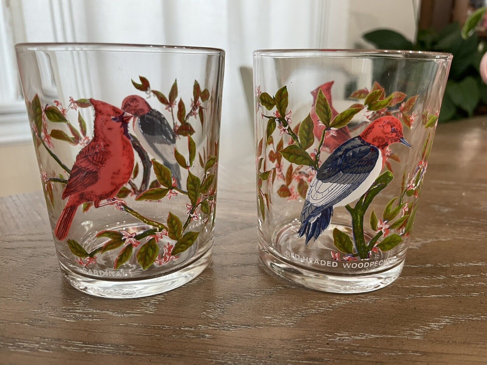 Pair (2) Vintage Arcoroc France Cardinal Red Headed Woodpecker Bird 4oz Glasses
