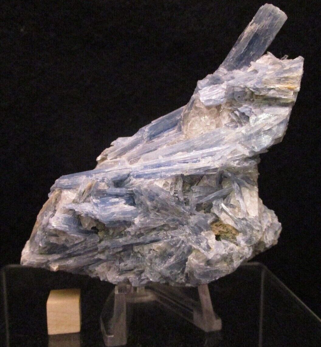 Gorgeous Deep Blue Kyanite Crystal Cluster Blades in Quartz, Brazil