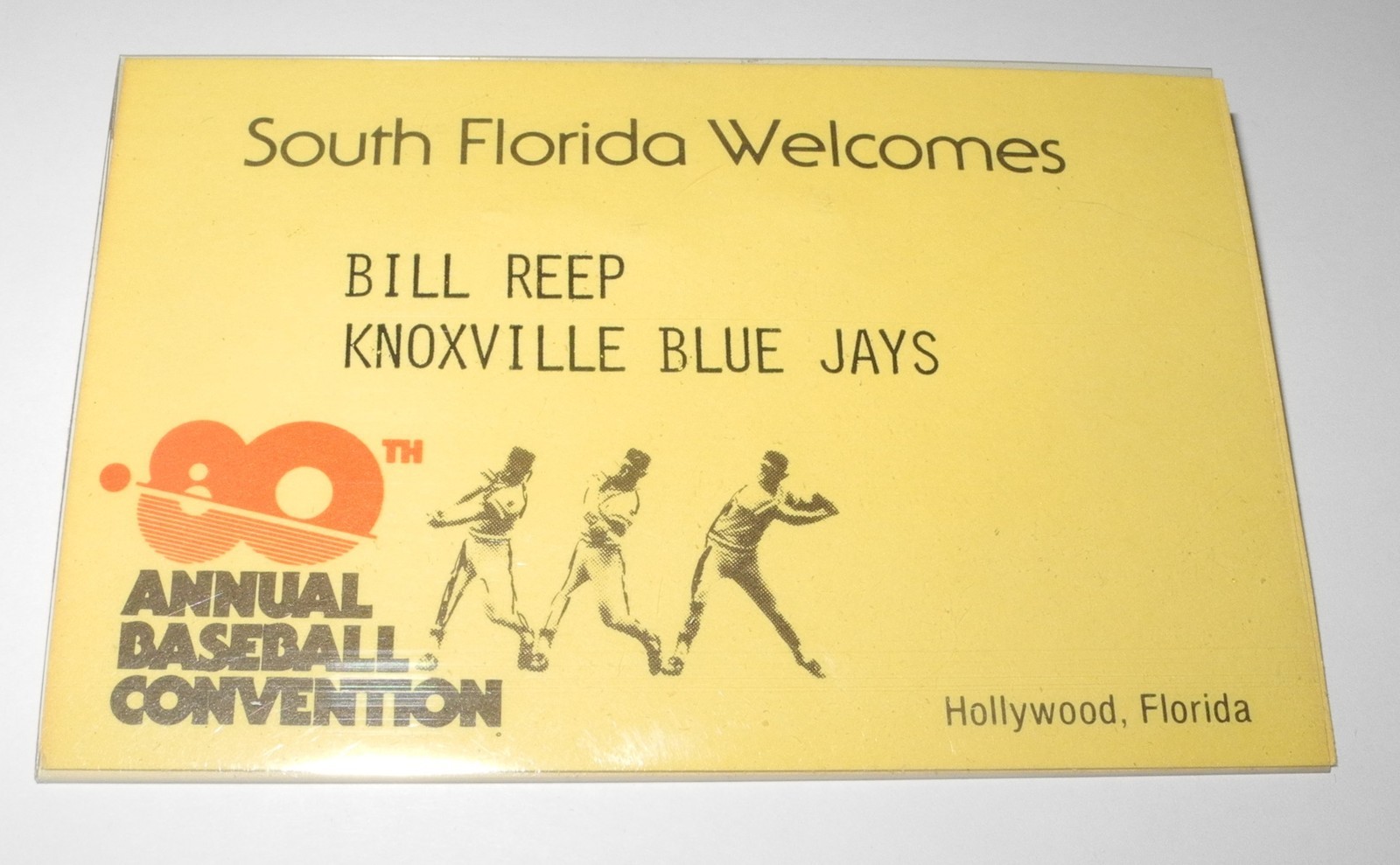 1980 National Association of Professional Baseball League Convention Badge Pin