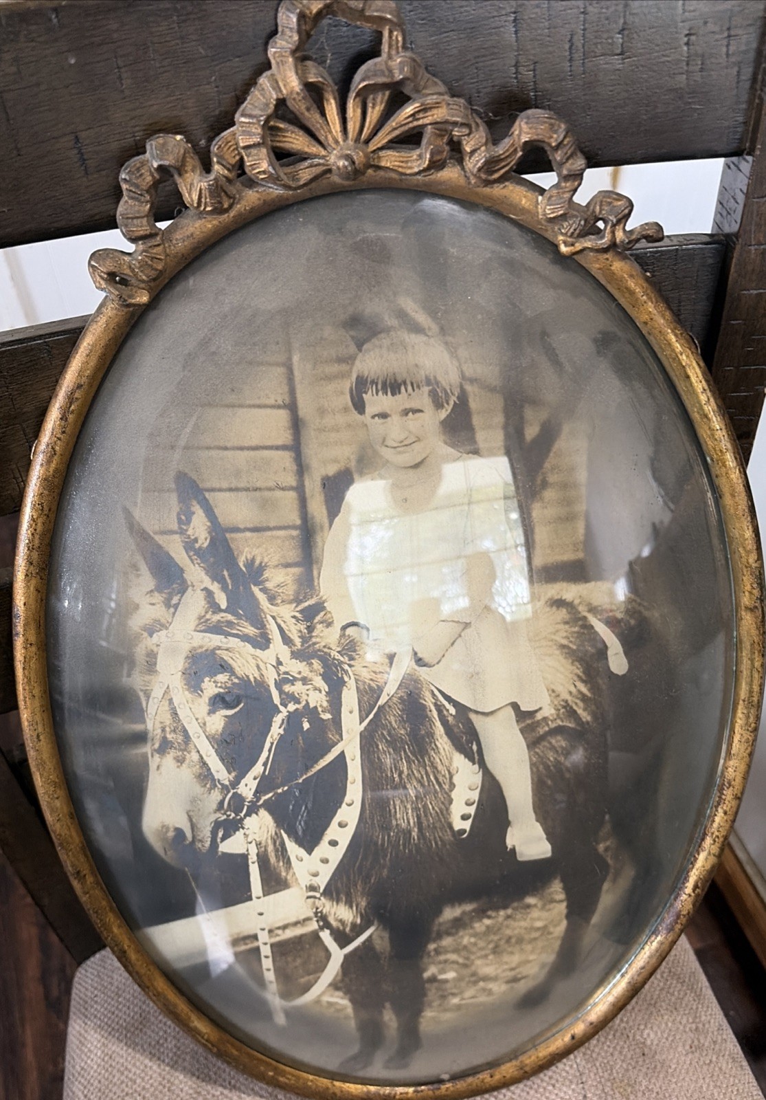 ANTIQUE USA COUNTRY GIRL Donkey PONY ART GLASS PHOTO PICTURE