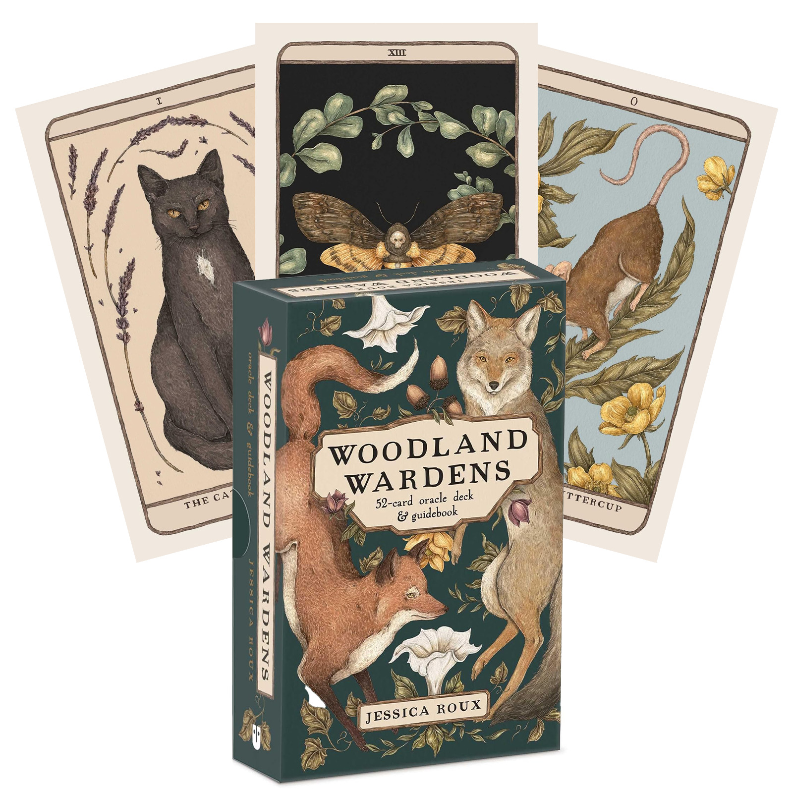 Woodland Wardens Oracle Card Deck & Guidebook Andrews Mcmeel Publishing AMP02