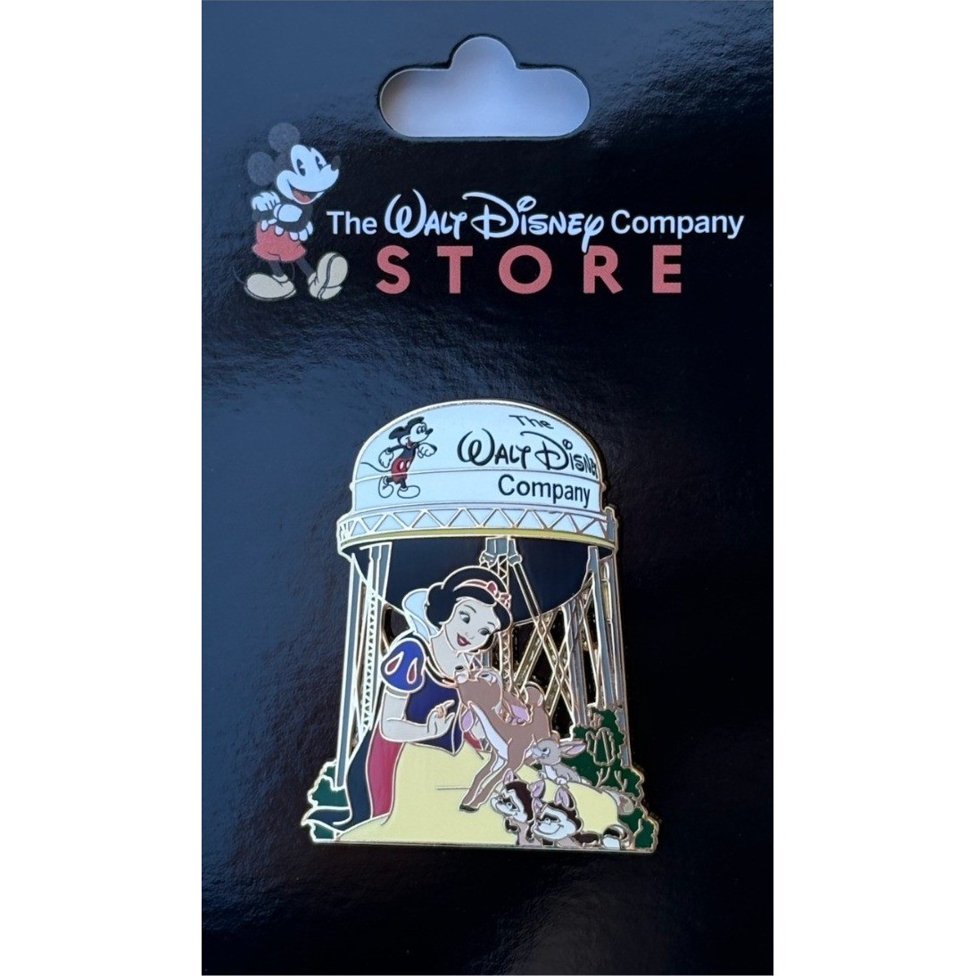 Disney DEC Walt Disney Studios Water Tower Snow White Pin Cast Exclusive OE
