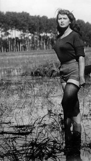 Mangano Silvana Actress Italy Scene from the movie Riso amaro D- 1949 Old Photo