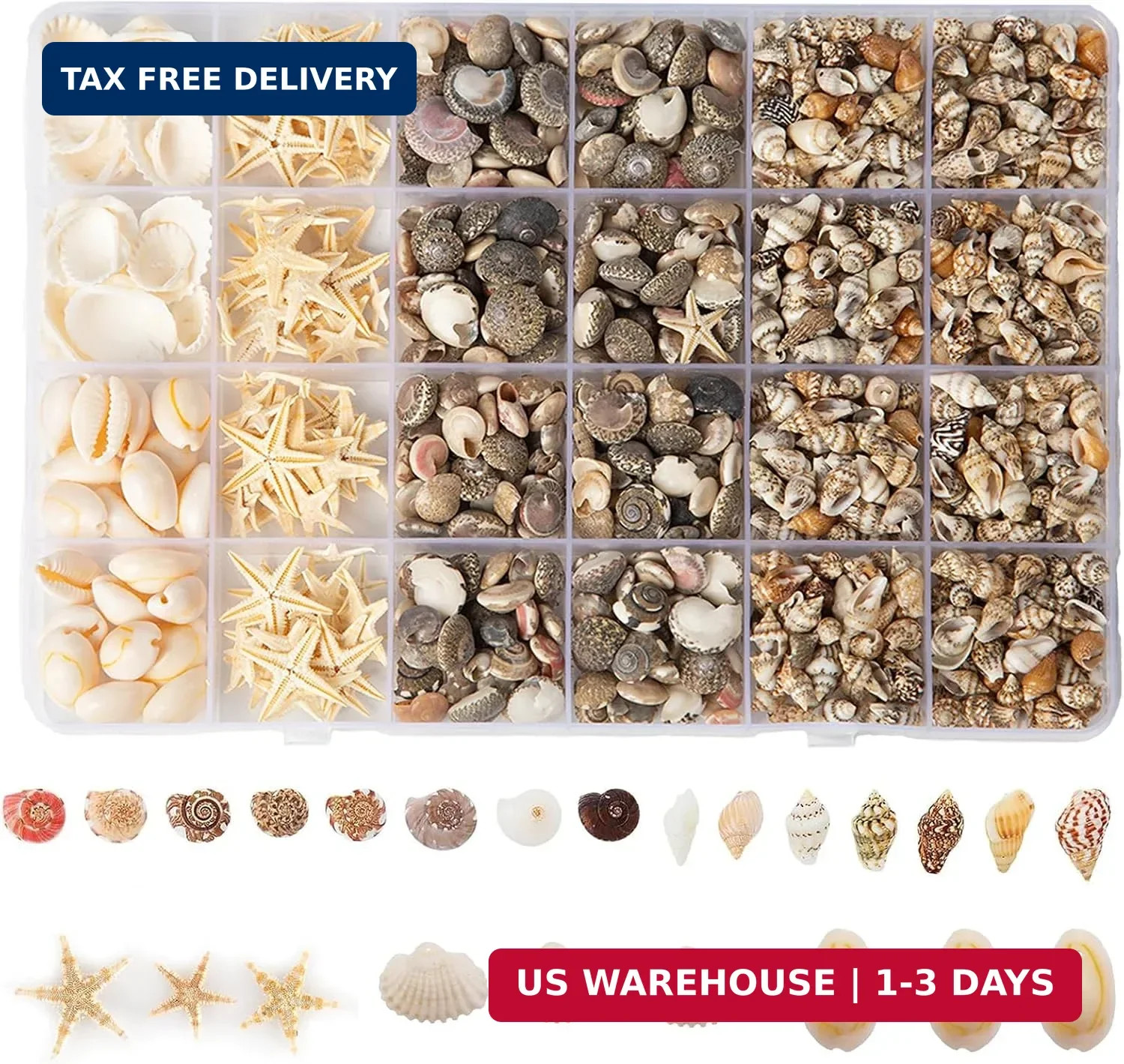 1300+Pcs Tiny Seashells for Crafts, Small Sea Shells in Bulk with Mini Starfish