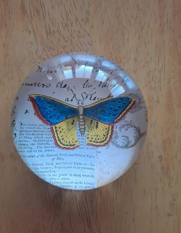Rare Vintage H.P. Deco France John Derian Blue Underwing Moth Glass Paperweight Rare Vintage H.P. Deco France John Derian Blue Underwing Moth Glass Paperweight