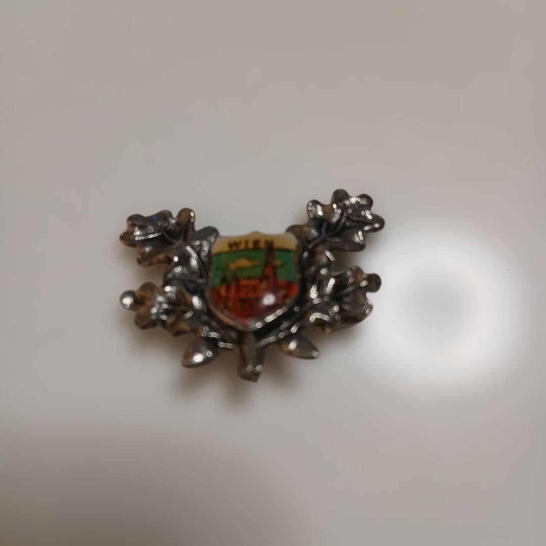 Austria Wien Pin Badge Vintage