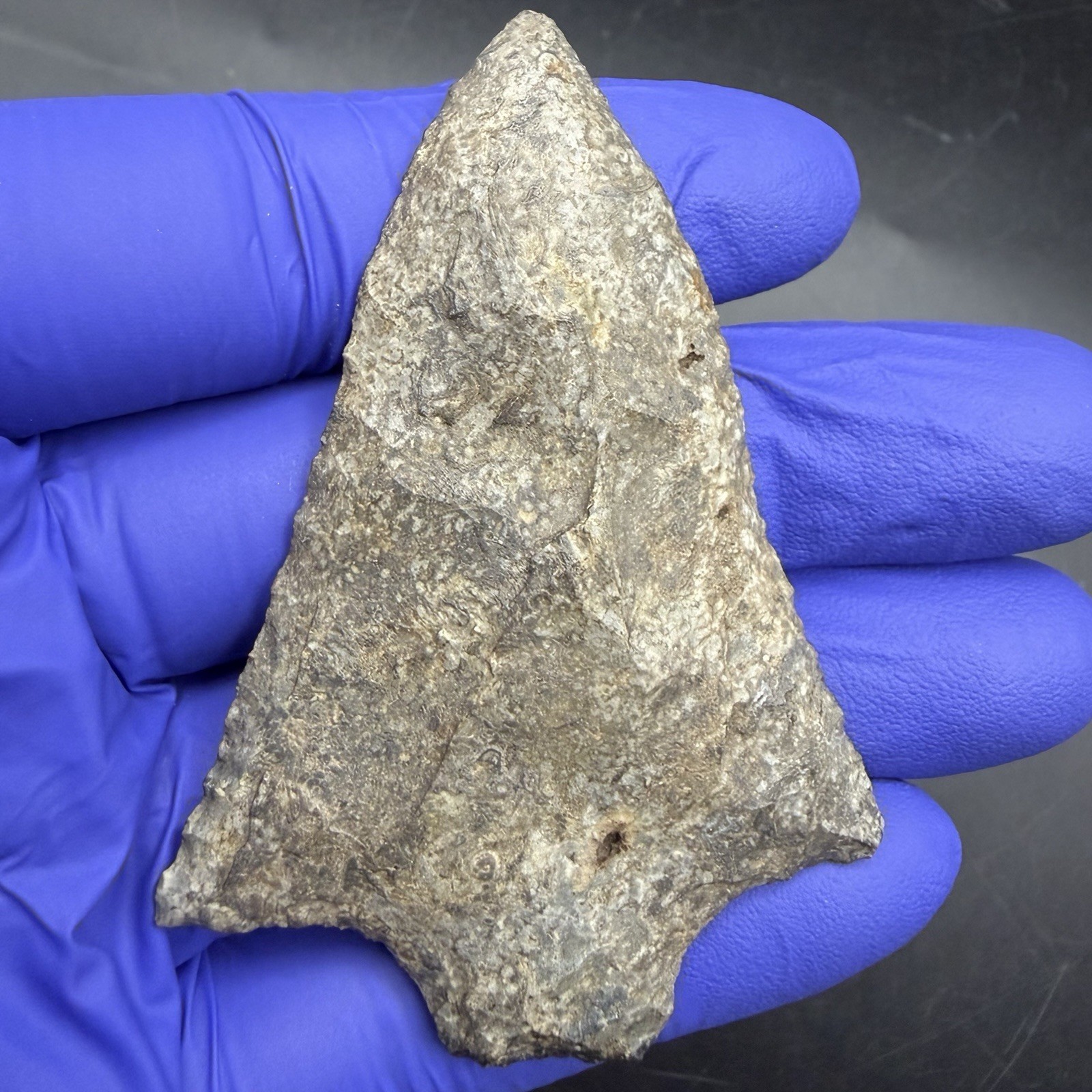 Indian Arrowhead Marion Florida 2.92” Authentic Artifact