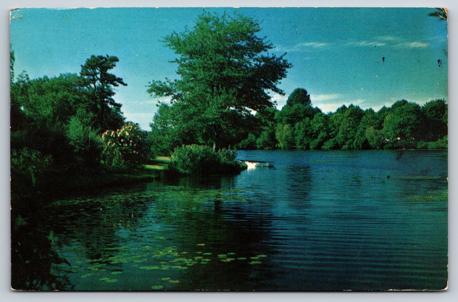 Greetings From Arkansas Vintage Postcard Greetings From Arkansas Vintage Postcard