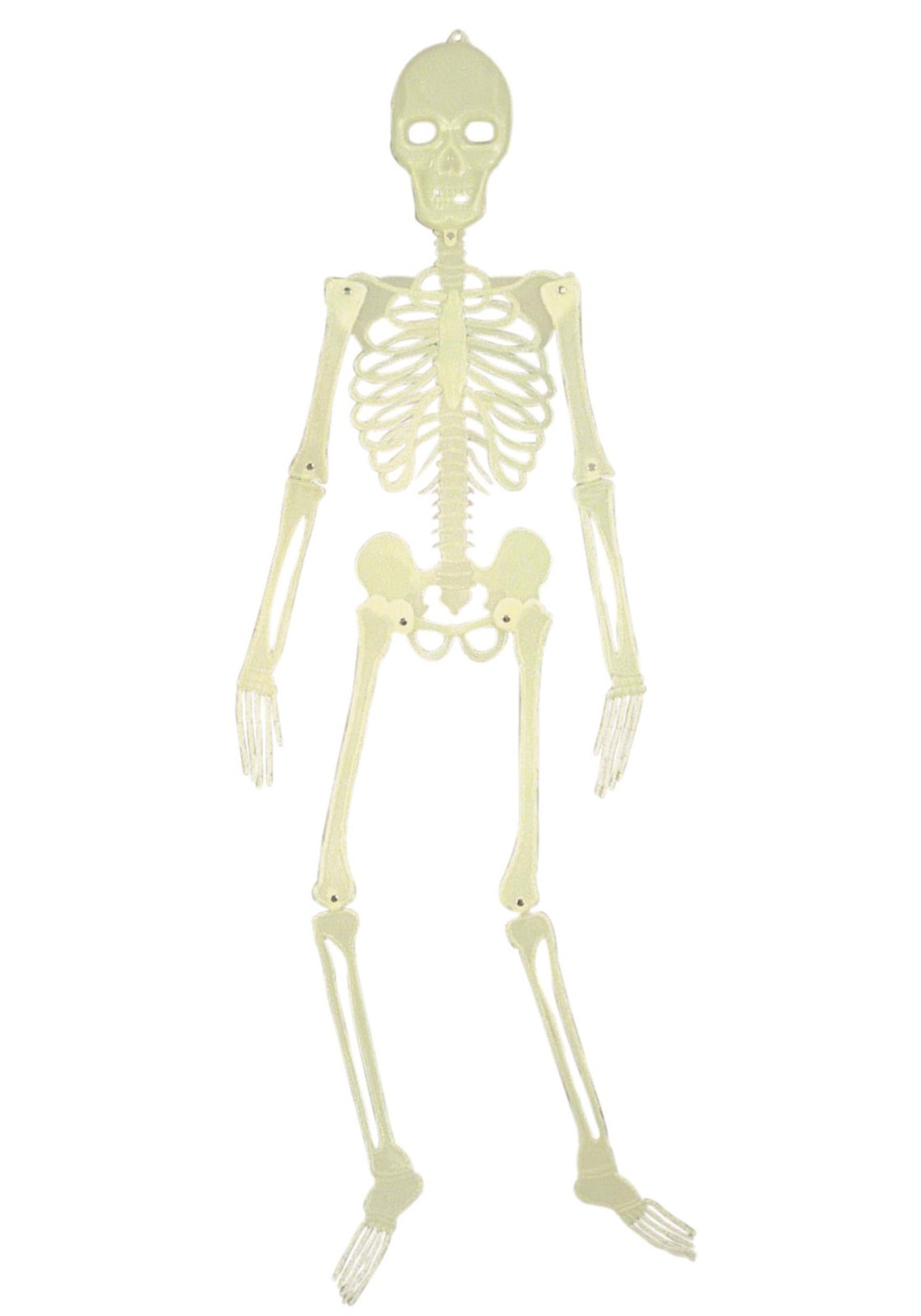 5\' Glow in the Dark Skeleton Prop