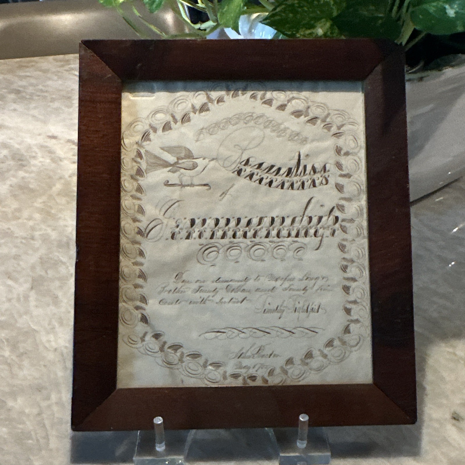 Antique 19th Century Spencerian Calligraphy Ink Drawing - Framed Penman Folk Art