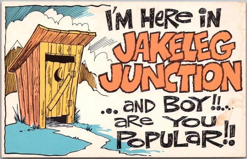 Vintage 1960s OUTHOUSE Bathroom Comic Postcard \