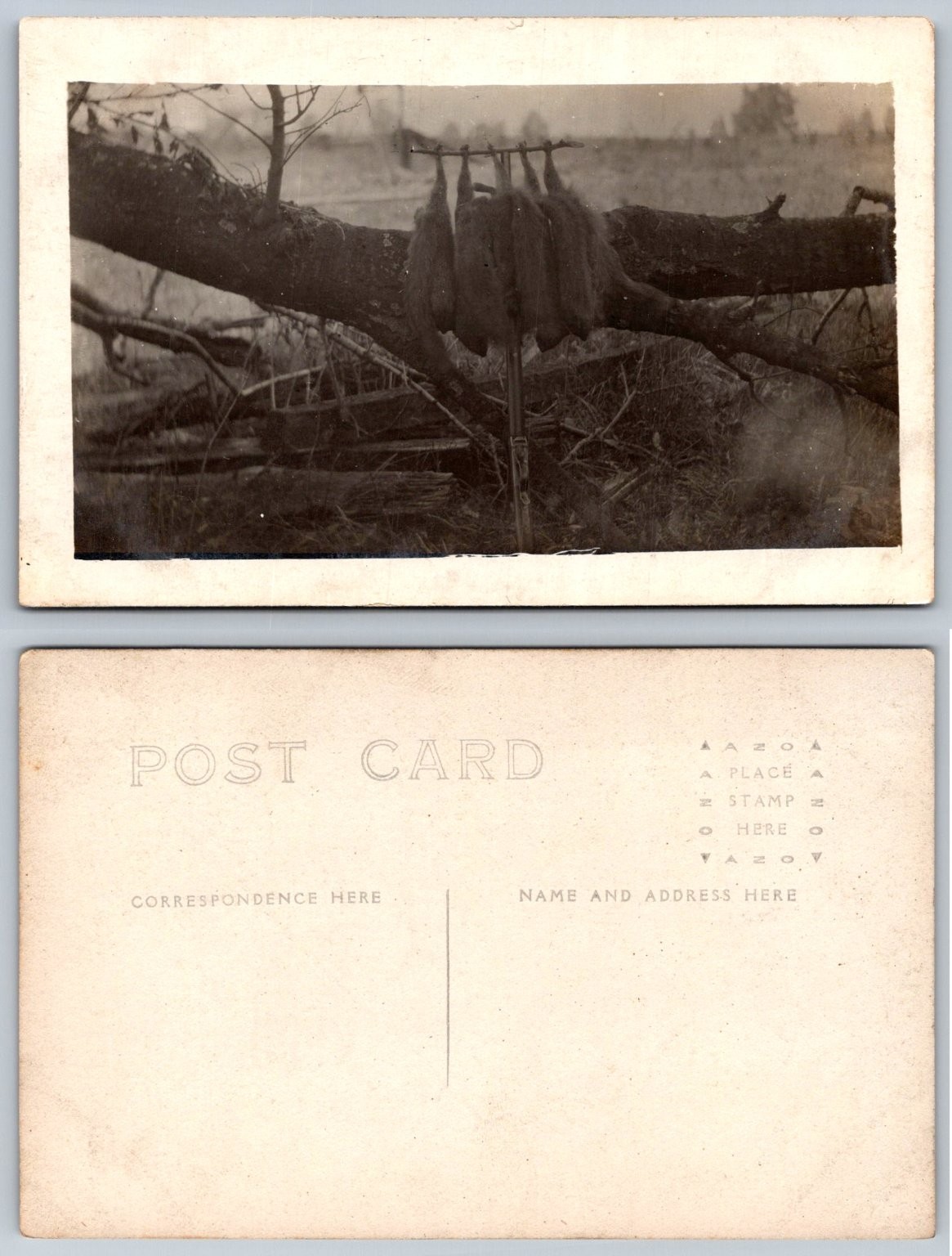 RPPC Vintage Trapper Hunter Fur Pelts AZO Real Photo Postcard c1910s