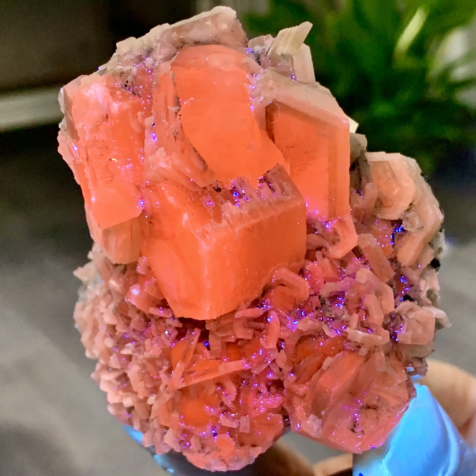 234G  Natural Calcite UV Fluorescence Effect Crystal Cluster Mineral