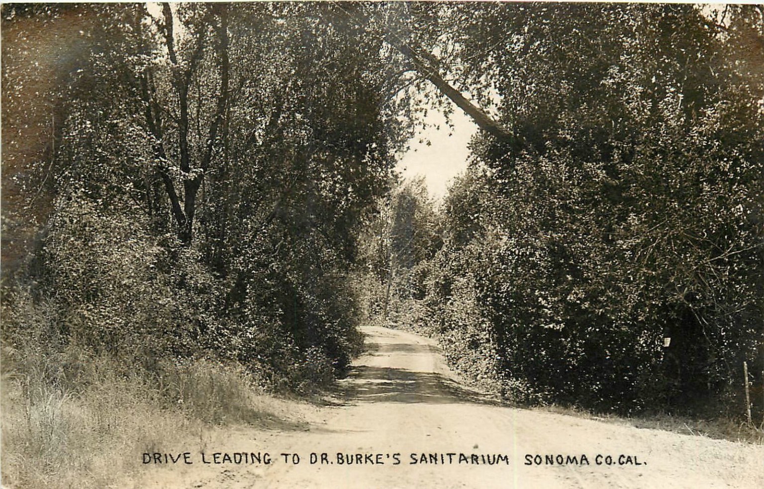 RPPC Drive to Dr. Burke\'s Sanitarium Sonoma County California Postcard c1910