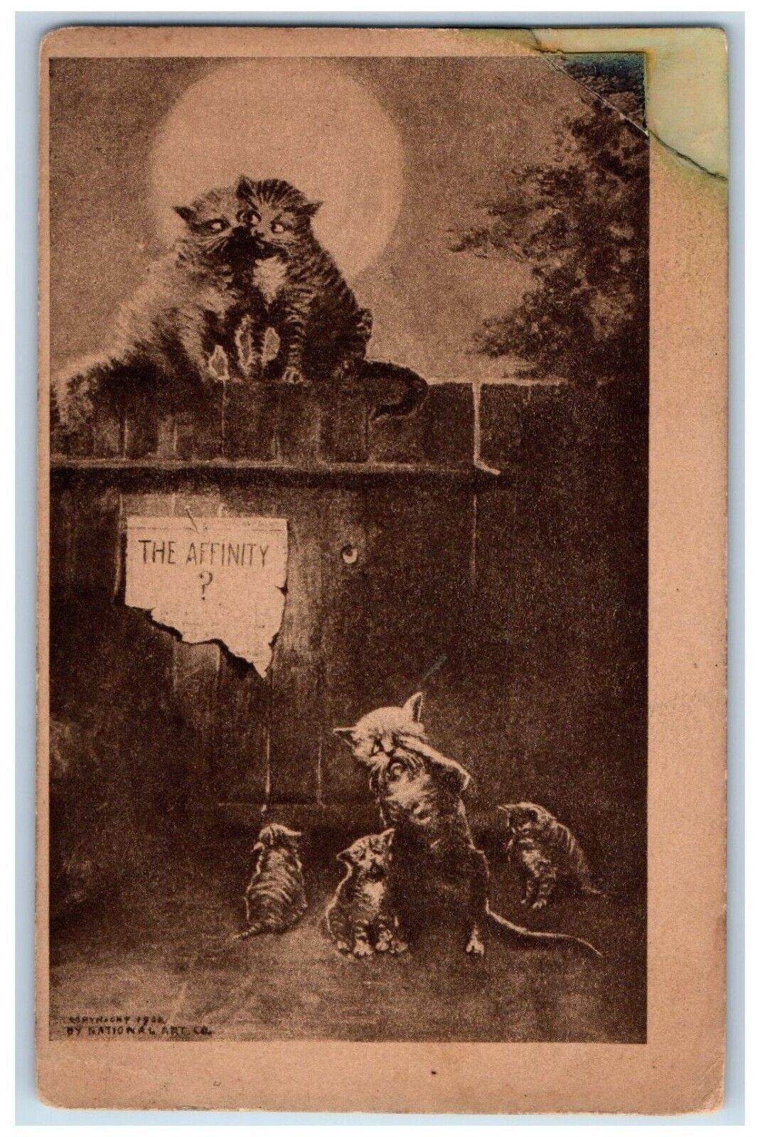 1909 The Affinity Cat Kitten Indianapolis Indiana IN Posted Antique Postcard