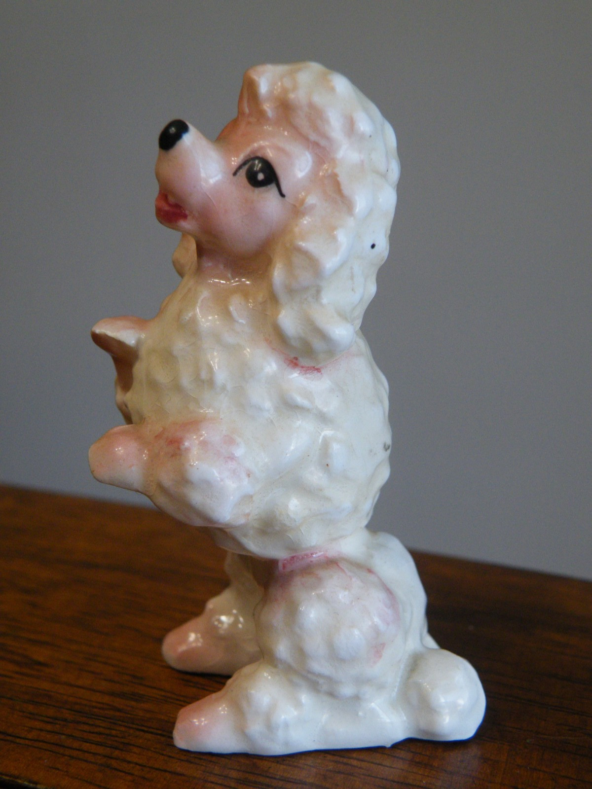 Vintage POODLE Dog SITTING PRETTY  3