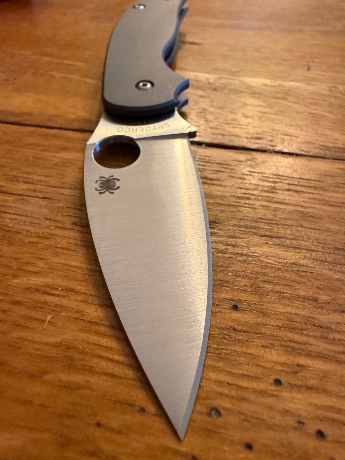 NEW Spyderco SMKW Exclusive Sage 5 C123TIPM390  Smooth Gray Titanium Satin M390