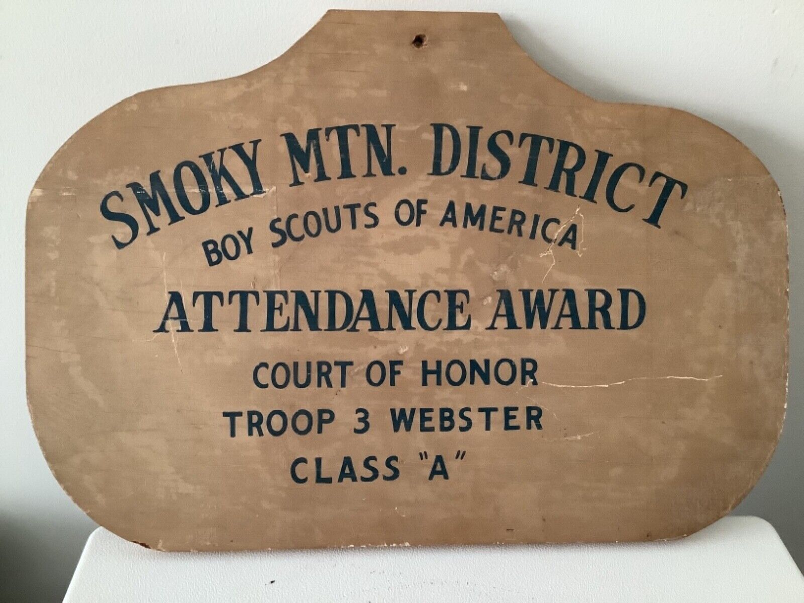 Vintage Boy Scout Smoky Mountain Division Troop 3 Webster TN Wood Sign 20”x14”