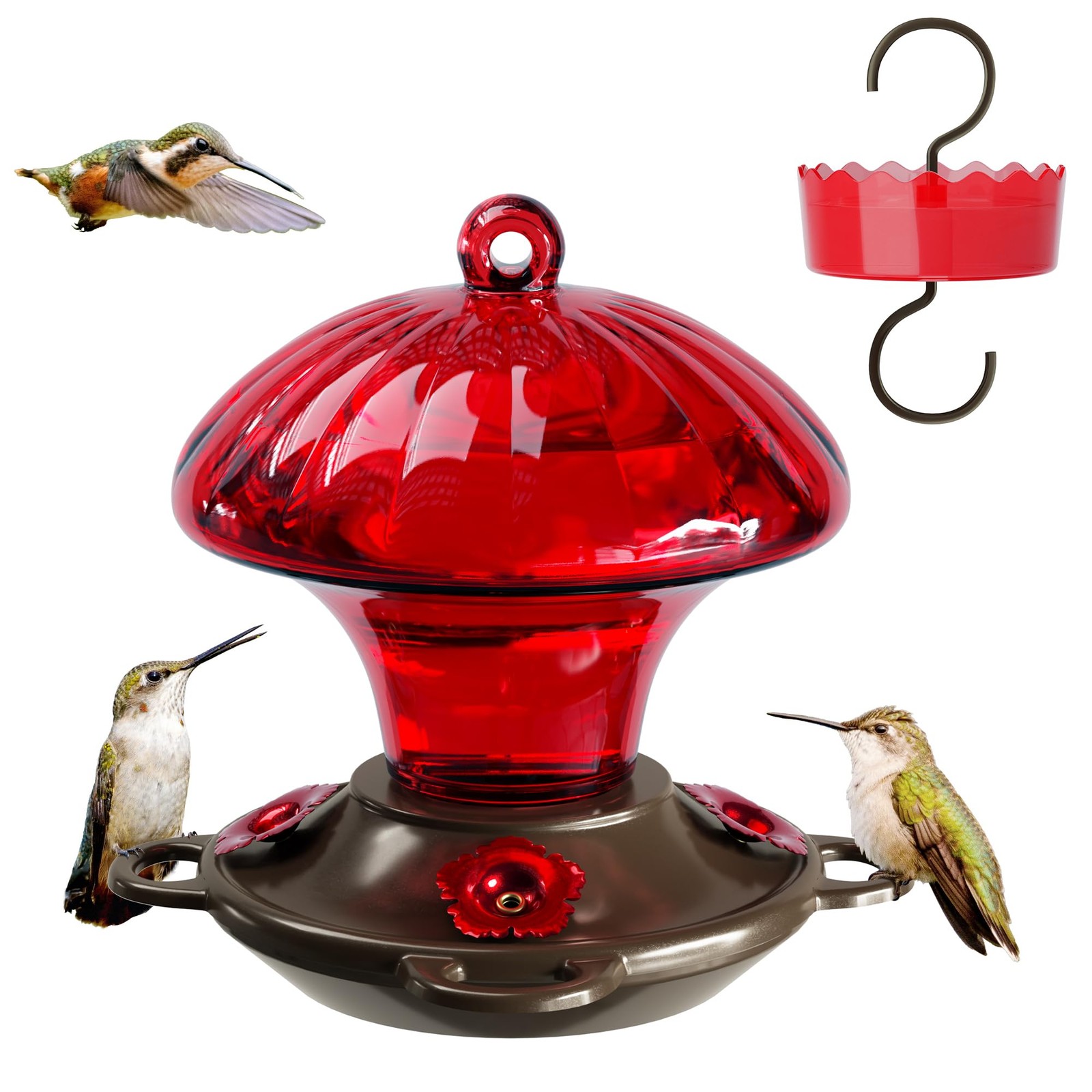 Hummingbird Feeder, Auslar 15 Ounces Glass Hummingbird Feeders for Outdoors Hang Hummingbird Feeder, Auslar 15 Ounces Glass Hummingbird Feeders for Outdoors Hang