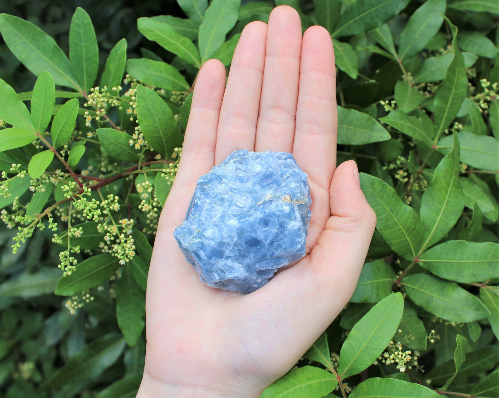 Rough Blue Calcite Natural Stones LARGE 2\ Rough Blue Calcite Natural Stones LARGE 2\
