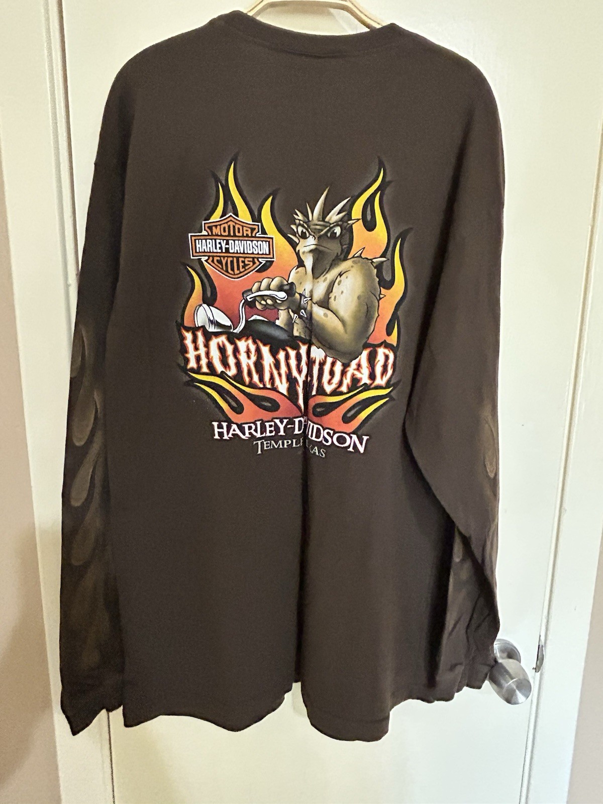 Harley-Davidson Horny Toad Temple TX Flame Sleeve Long Sleeve Men's XL