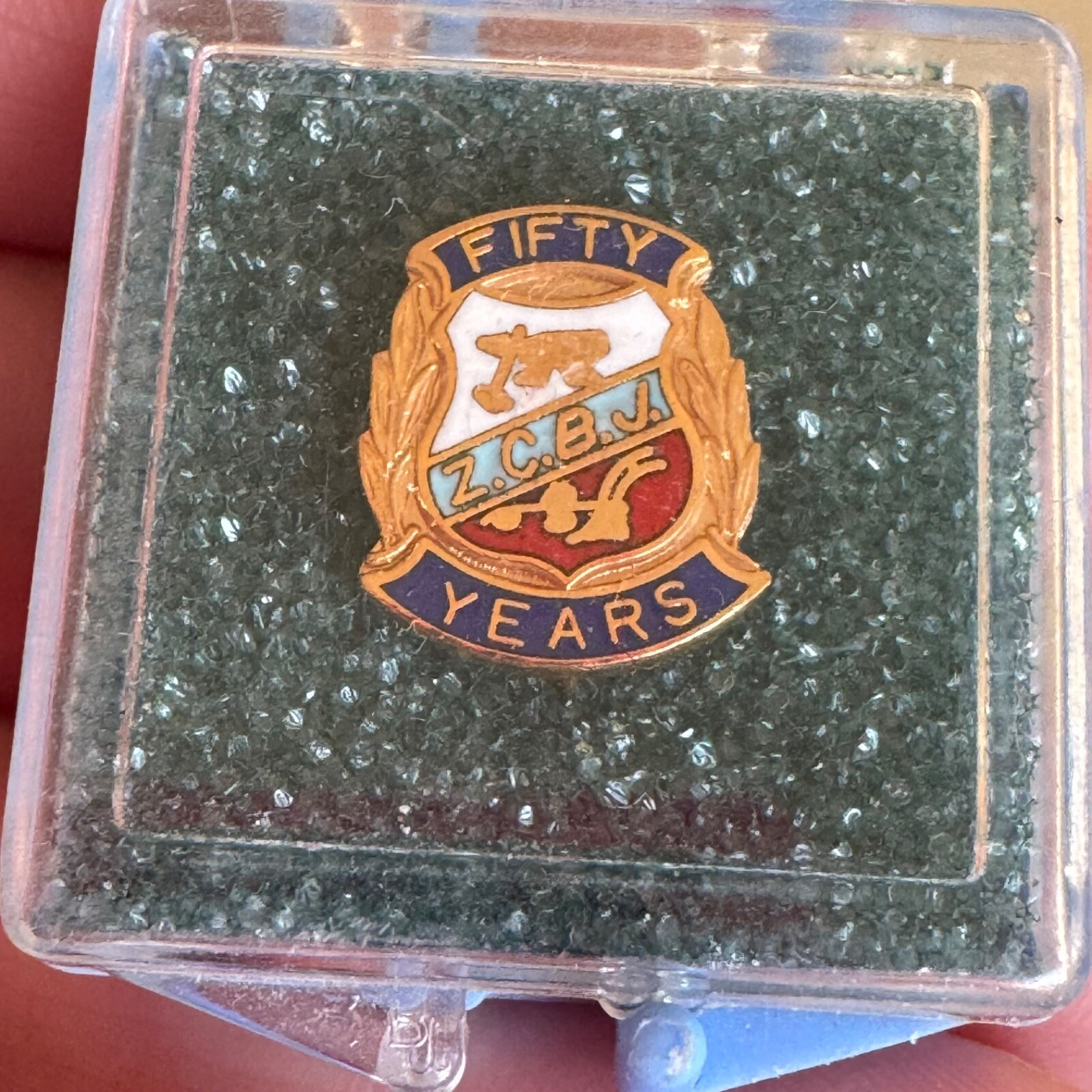 Vintage Fifty Years Zapadni Ceska Bratrska Jednota Z.C.B.J Member Lapel Pin