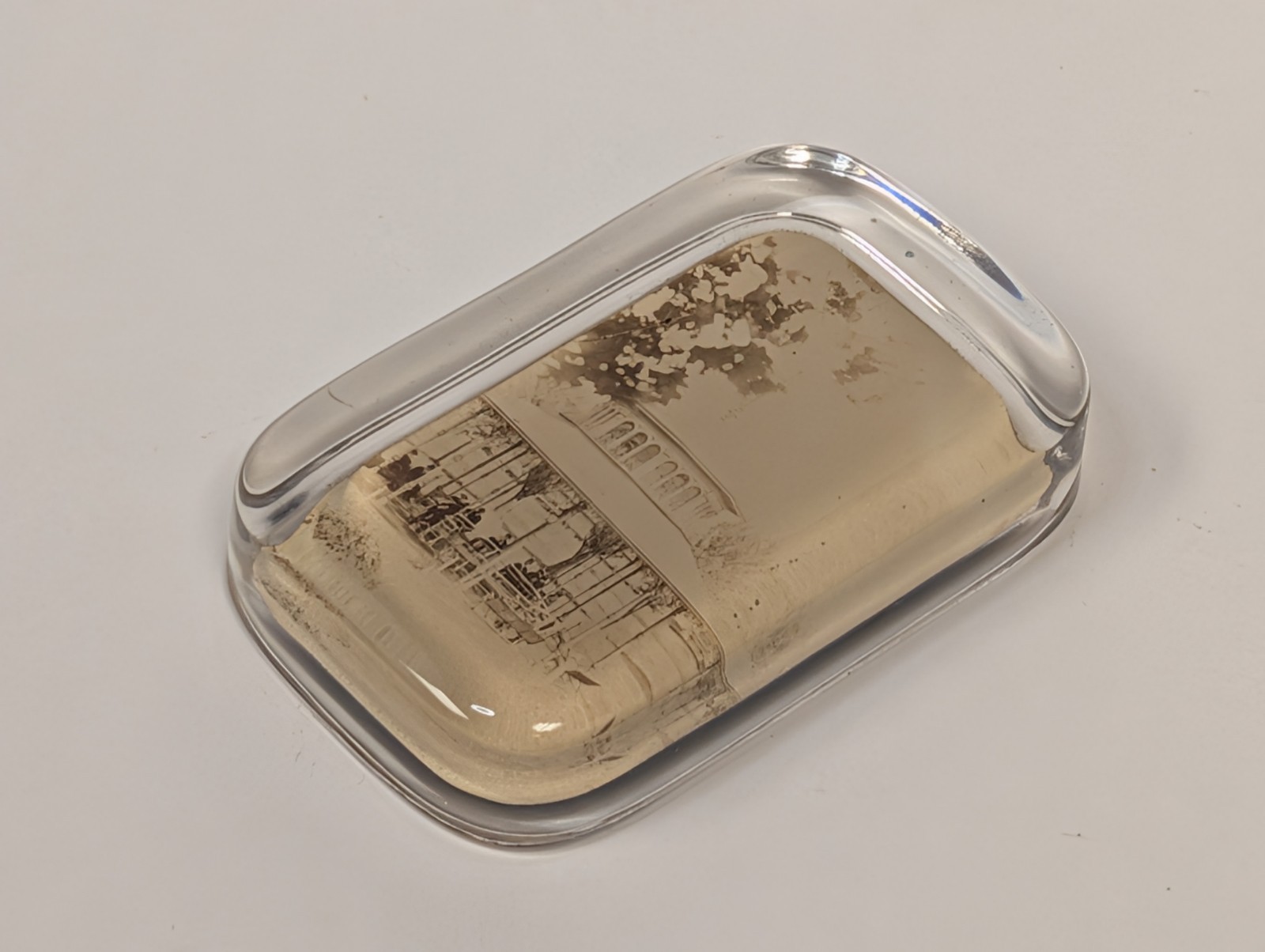 Antique Photo Glass Paperweight Silurian Spring Waukesha Wisconsin Mineral 1900s Antique Photo Glass Paperweight Silurian Spring Waukesha Wisconsin Mineral 1900s